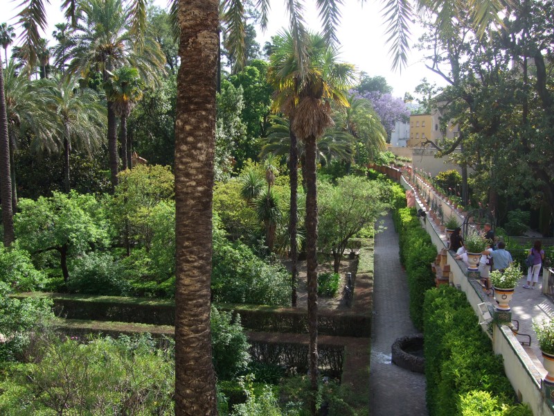 Anadalusien 2009 - 0761 